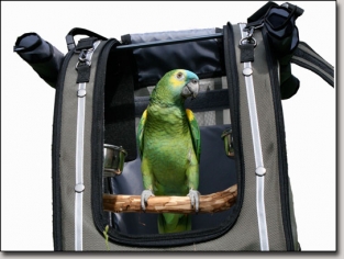Parrot Backpack Carrier 